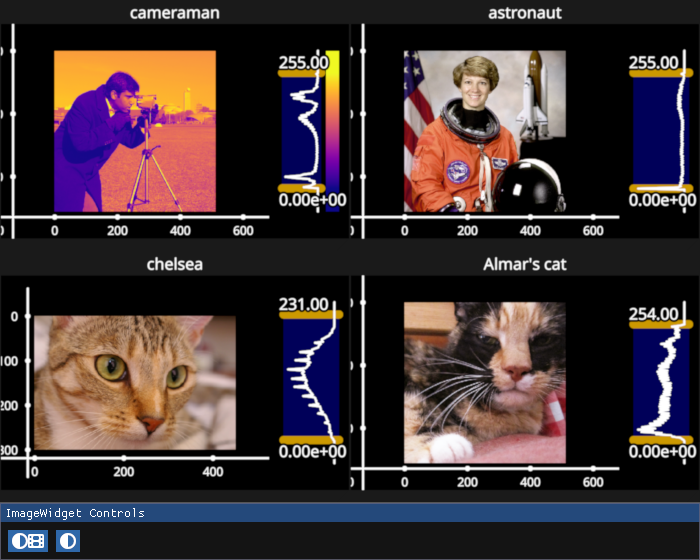 image widget grid