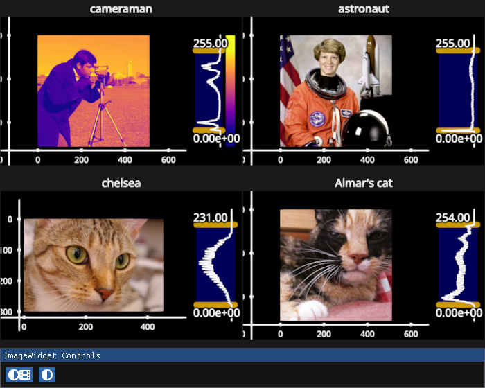 image widget grid