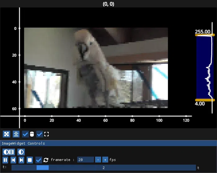 image widget single video