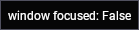 is_window_focused