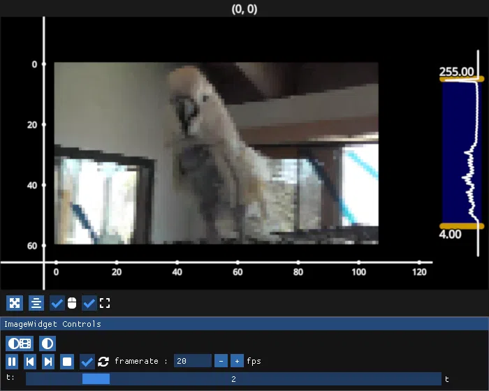 image widget single video