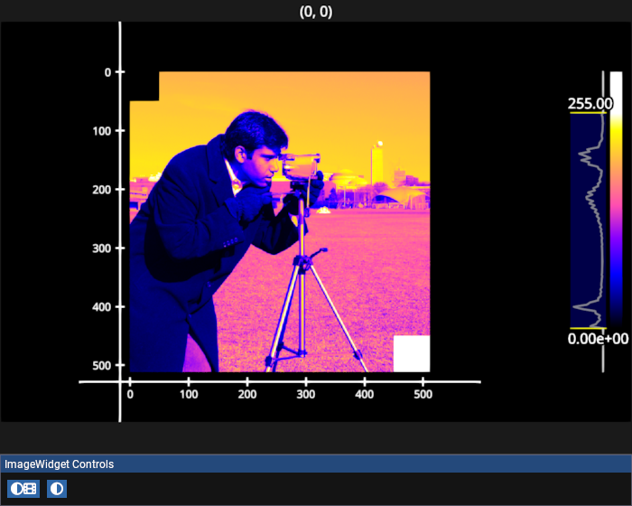 image widget
