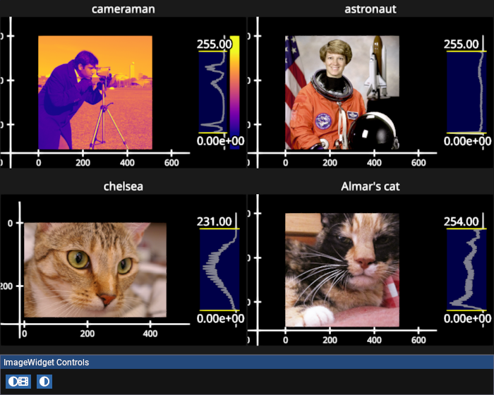 image widget grid